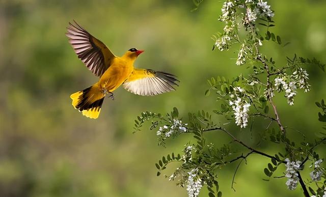 什么的启示作文，什么什么的启示600字作文怎么写（四年级优秀作文欣赏）