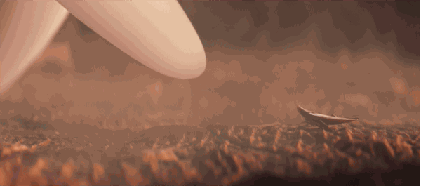 为什么有的蟑螂会飞有的不会，为啥有的蟑螂会飞（北方人永远不知道）