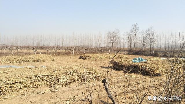 什么是三农，什么是三农企业（究竟什么是三农）