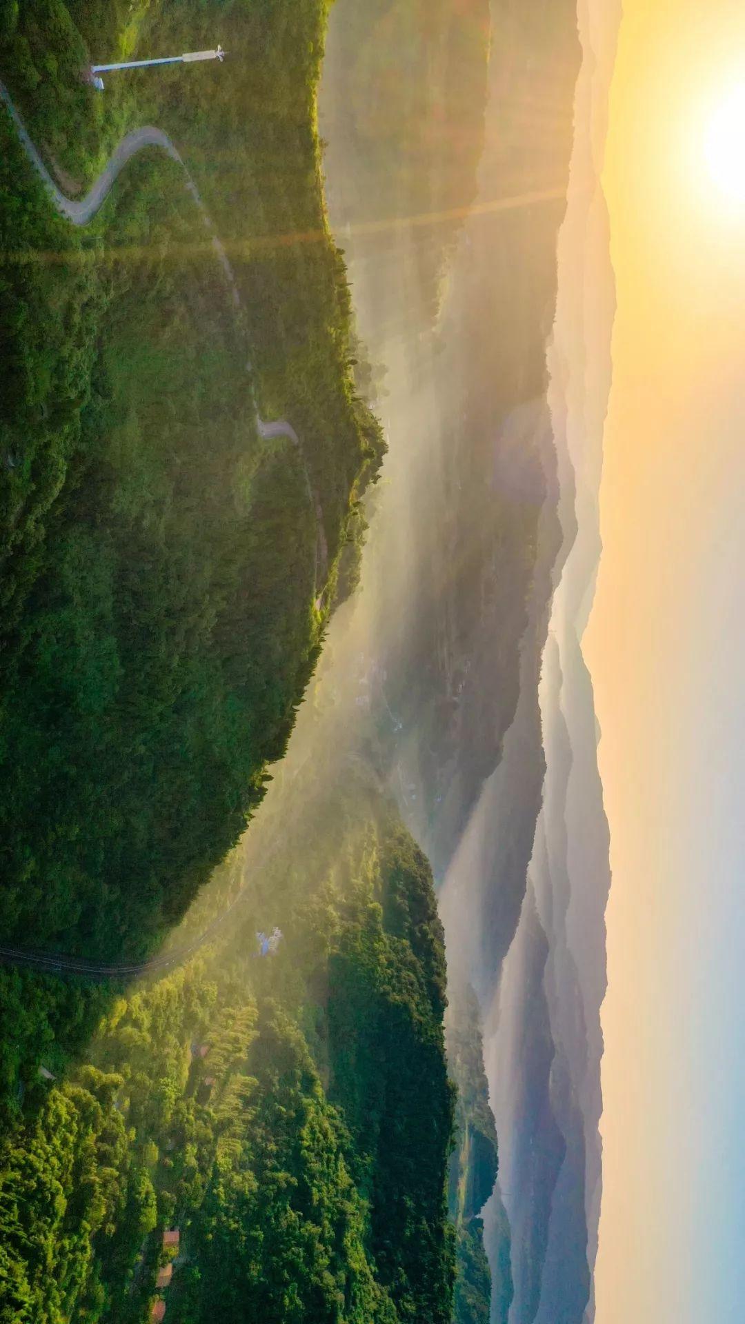 山中无岁月世上已千年，在青白江邂逅龙泉山的清晨