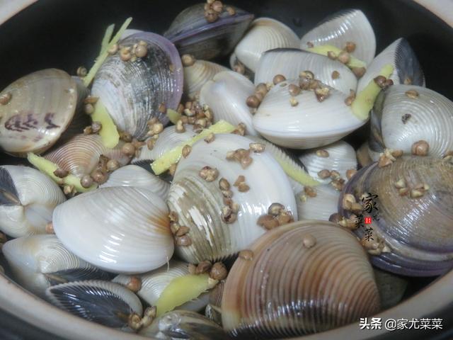 白蛤怎么做好吃，白蛤的做法（无论是做花甲还是白蛤）