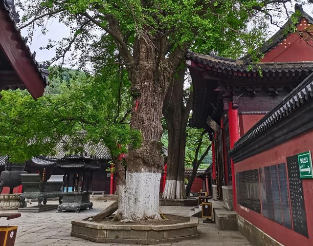 花果山旅游攻略，花果山景区在哪里（一生建议游玩的一个景点）