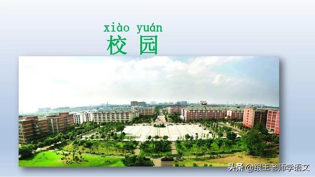 太多的拼音，太多的拼音怎么写的（部编语文一年级下册4、四个太阳+朗读+知识点+图文解读）