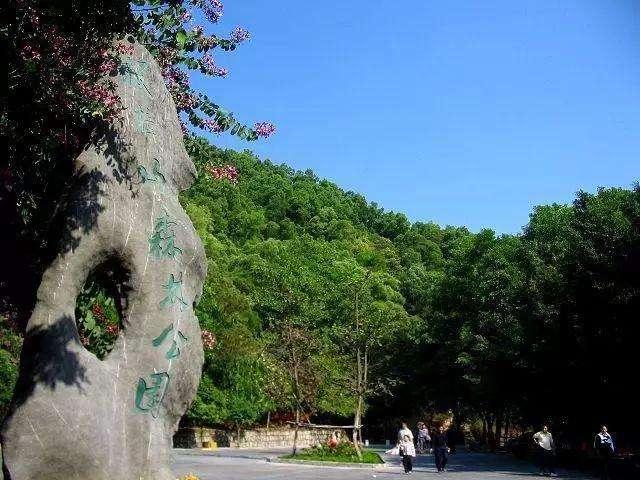 珠海哪里爬山风景最好，珠海哪里爬山风景最好看（珠海最美十大名山）