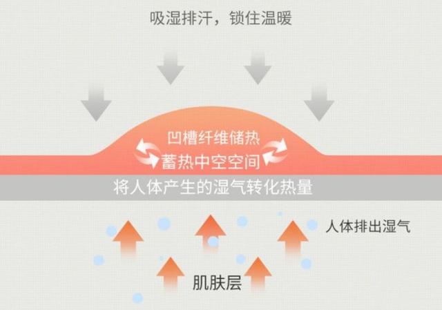 单面德绒和双面德绒区别，德绒与双面绒的区别（会“自发热”的德绒内衣）