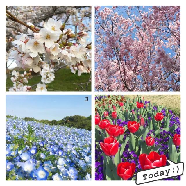 两人相爱到老的网名，相约到老的超霸气情侣网名：冇沵巳足够╭ | 莫名的想念╭微信昵称（牵手看展览吃大餐）