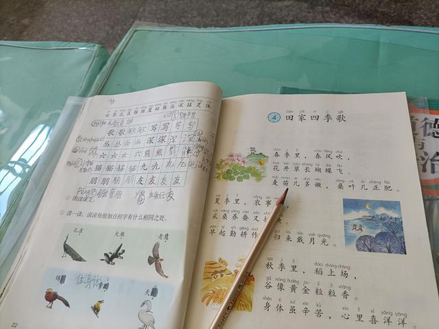 孩子记性不好怎么办，儿童记性差怎么办（孩子记东西费劲，过几天全忘了）
