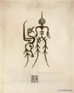 一个草字头一个吕，草字头加吕什么字（中国100大姓氏起源、图腾）