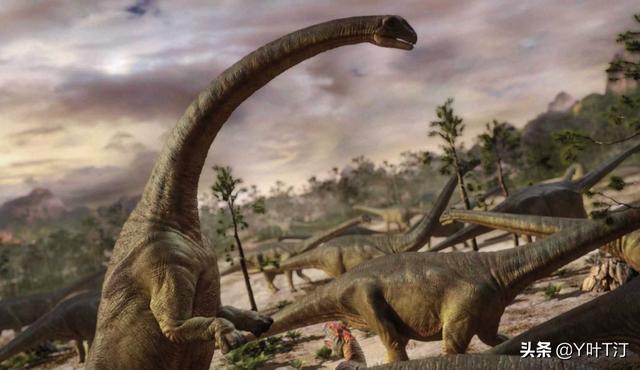 特暴龙 体态比较大属于暴龙超科远亲是霸王龙，特暴龙和霸王龙谁厉害（异特龙超科<下盘点>）