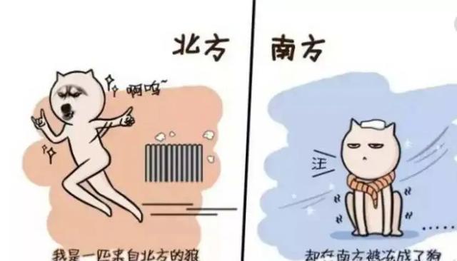 黑龙江中医药大学宿舍,2021级黑龙江中医药大学新生开学时间和入学指南及入学军训考试(宿舍环境排行TOP8) 黑龙江中医药大学宿舍,2021级黑龙江中医药大学新生开学时间和入学指南及入学军训考试(宿舍环境排行TOP8)