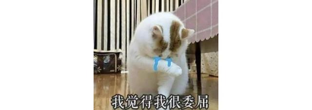 父母的心灵对话，看完我承认我是亲生的了