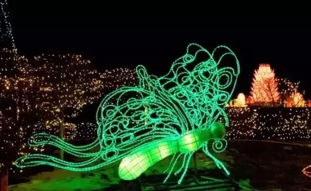 厦门民俗文化，厦门民俗文化村（厦门春节竟有这么多民俗）