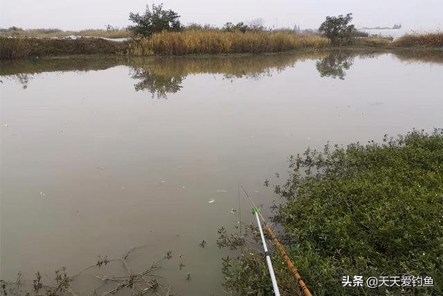冬季钓鱼技巧 六个不钓教你在冬季如何钓鱼，冬季钓鱼技巧（冬季钓不到鱼未必是天冷）