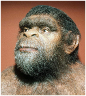 为什么十个络腮九个帅，不是谁都可以络腮胡（邋遢军人大叔蓄须老气横秋）