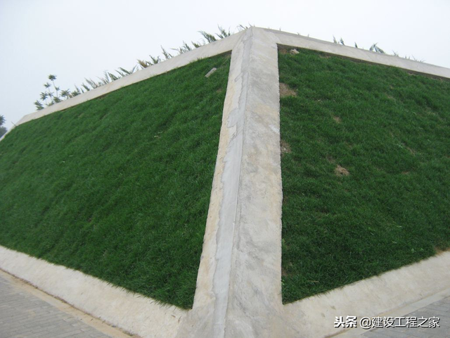 我的世界黑色混凝土的英文是什么，我的世界黑色混凝土英语（神奇！混凝土上竟然能种草！）