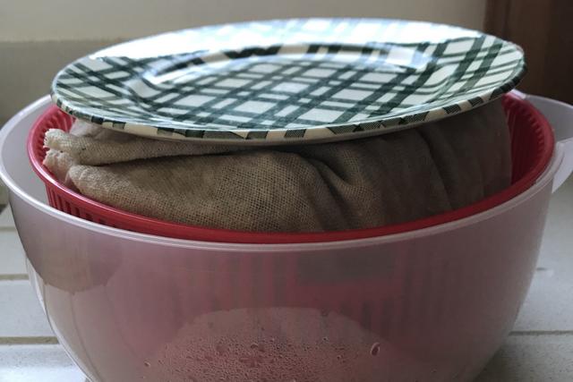 如何自种绿豆芽，怎样自己种绿豆芽（不用土壤不用肥料）