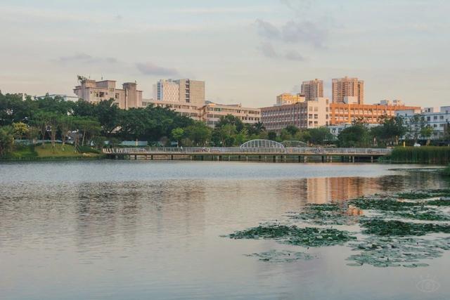 深圳十大免费景点，深圳十大必玩免费景点排名