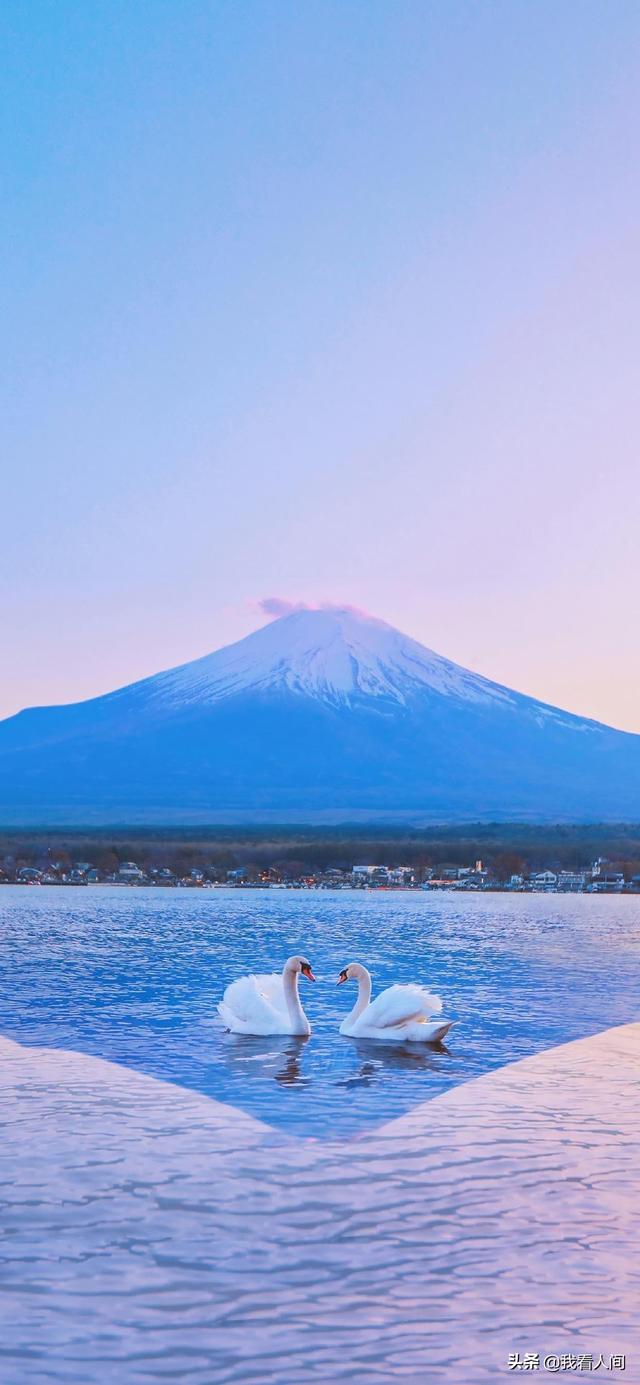 道枝骏佑壁纸❤❤，道枝骏佑图片高清头像（学生党壁纸！超好看）