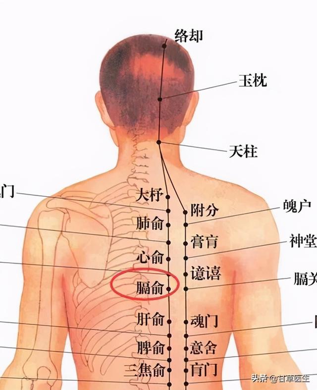 十大补气血的食物推荐，十大补气血的食物推荐吃（真正补血的是这8种食物）