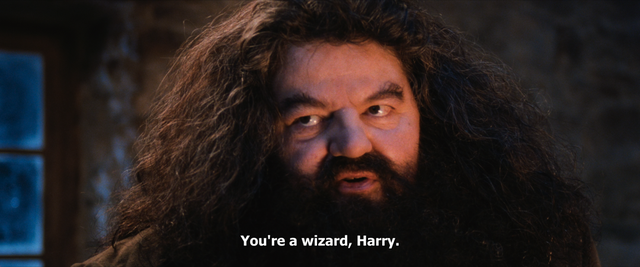 哈利波特与魔法石简介，哈利波特与魔法石小说简介（《哈利·波特与魔法石》的这些奇妙瞬间）