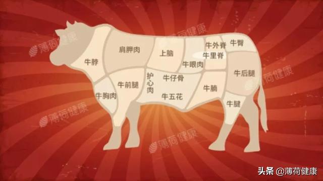 西红柿牛腩，营养师盘点7种肥瘦肉（西红柿牛腩的家常做法）