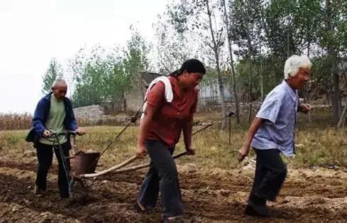 丑陋是什么意思，丑陋的意思（一两茶叶的鲁西南方言杂谈）