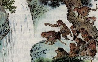 水寨的拼音怎么写，水寨的拼音和组词（部编版小学语文五年级下册期中复习）