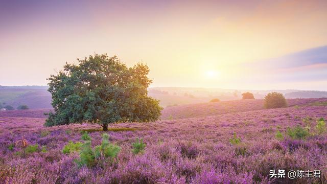 电脑好看的壁纸，10个最佳电脑壁纸（这56张绝美风景）