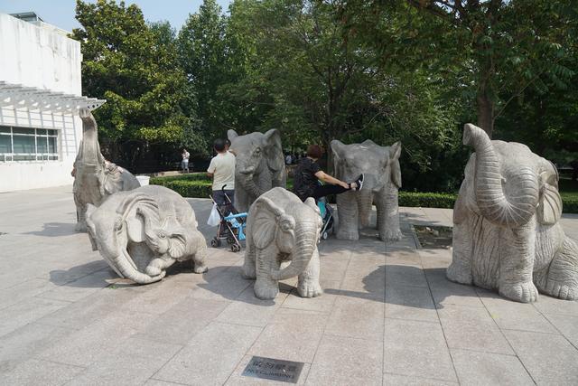 中国最大的动物园，中国动物园排名（中美动物园大PK）