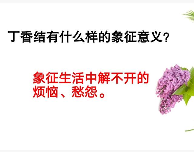 丁香结主要内容，丁香结的主要内容（部编版六上语文第二课丁香结手写笔记、重难点精讲及考点分析）