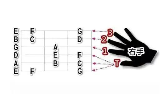 吉他免费自学详细教程，吉他完全自学教程（零基础如何自学吉他）