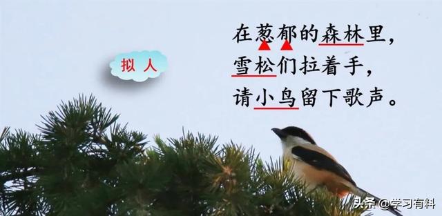 和拼音多音字组词，和拼音组词（统编语文二年级下册第8课《彩色的梦》图文解读+知识点+同步练习）