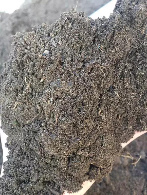 废旧花泥的妙用，废旧花泥可以种花吗（换盆后旧土别扔）