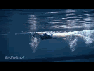 自由泳换气正确方法，自由泳应该怎样正确换气（自由泳换气的诀窍）