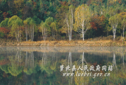 黑龙江省四大穷县，黑龙江省四大穷市（黑龙江省萝北县）