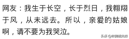 阿宾的高中成绩并不理想，少年阿小宾全文阅读（你看的小说有哪句话让你记到现在）
