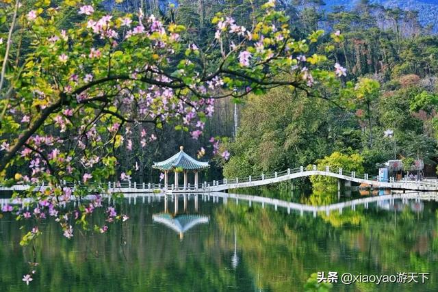 长隆门票价格一览表，全国5A级旅游景区最新门票价格及优惠政策