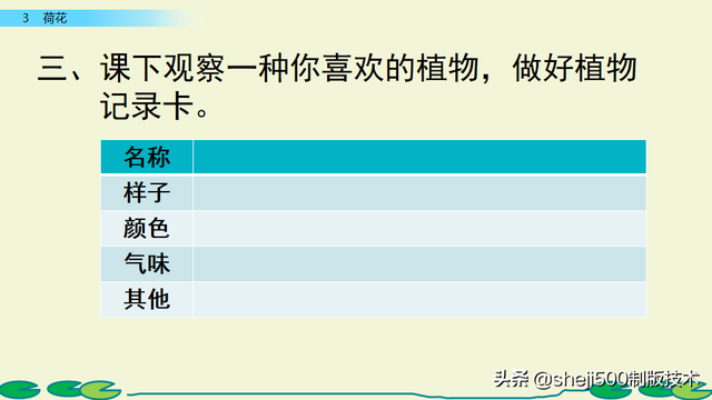莲蓬的蓬是不是读轻声，莲蓬的蓬为什么读轻声（部编版语文三年级下册第3课《荷花》图文讲解）
