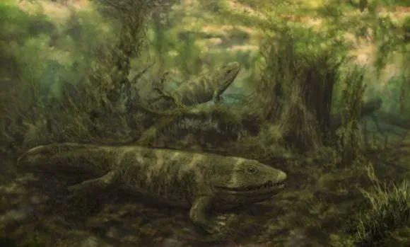 宇宙进化系统，为什么只有人类进化出高度发达的大脑