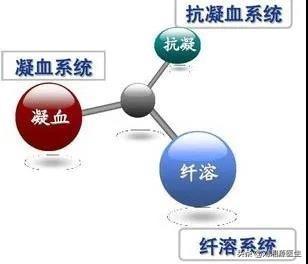 刺梨是凉性还是热性，刺梨是凉性吗（——凝血检查及易栓症）