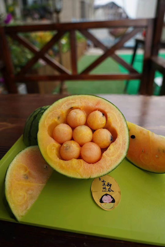 西瓜嫁接育苗的工厂化管理方法有哪些，西瓜苗如何培育（西瓜高产管理技术之四）