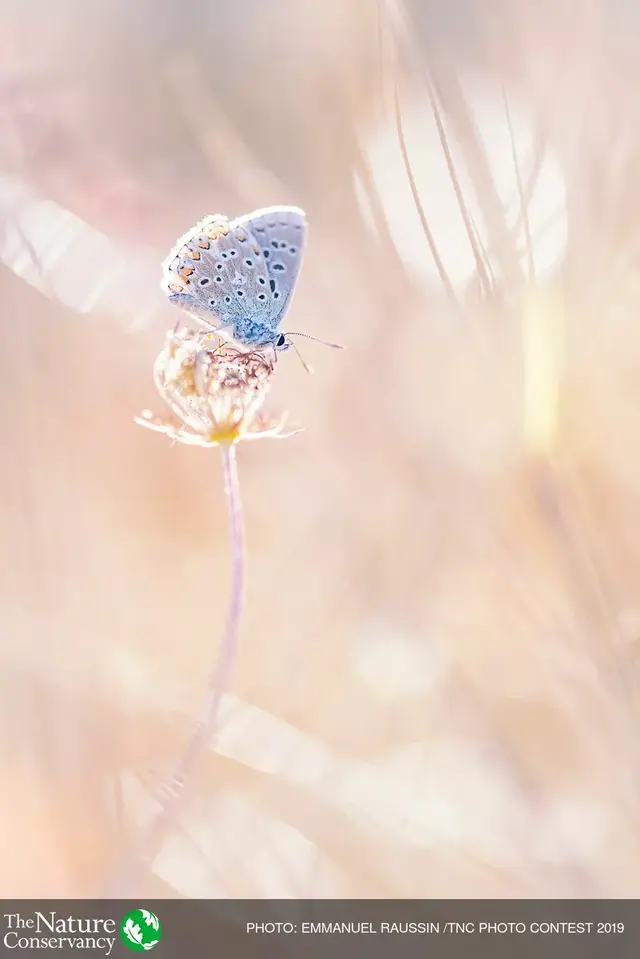 怦然心动美图，怦然心动最新图片（美图 ， 这一瞬间的怦然心动）