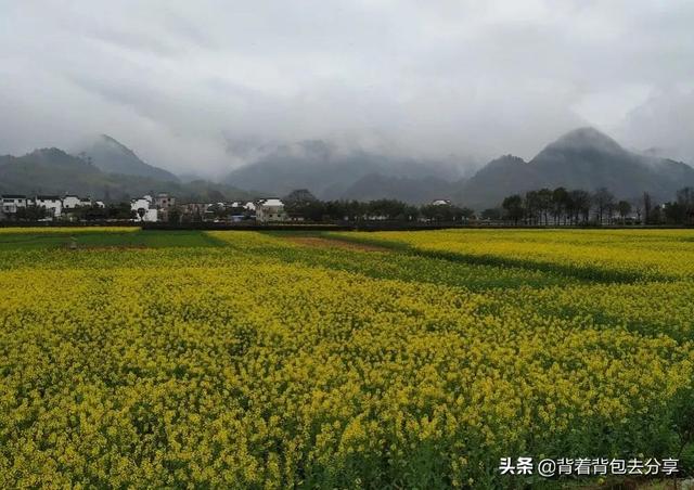 安徽有什么好玩的，仅仅只有一家景区免费开放