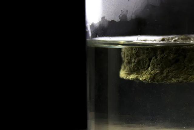 顾渚紫笋的功效和作用，顾渚紫笋冲泡方法（▏浙江历史上的两大贡茶）