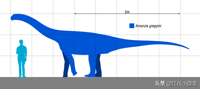 re网名的含义，Re微信昵称（2020古生物学家到底命名了多少种恐龙）