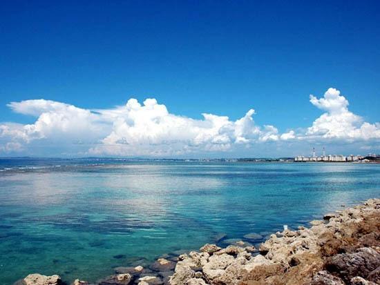 青栀如初是什么意思，青栀如初怎么读（香格里拉景点）