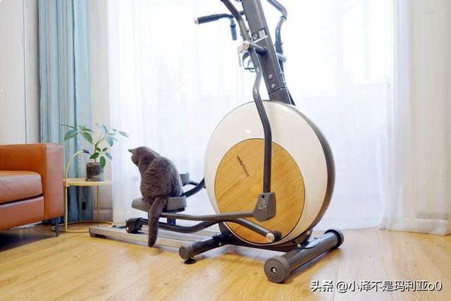 小泽玛利亚是干什么的，小则又沐风是什么梗（小姐姐手把手教你练习椭圆机）