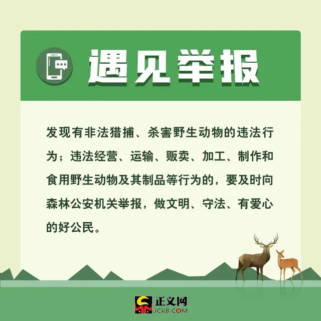保护动物的方法，保护野生动物，你应该这样做