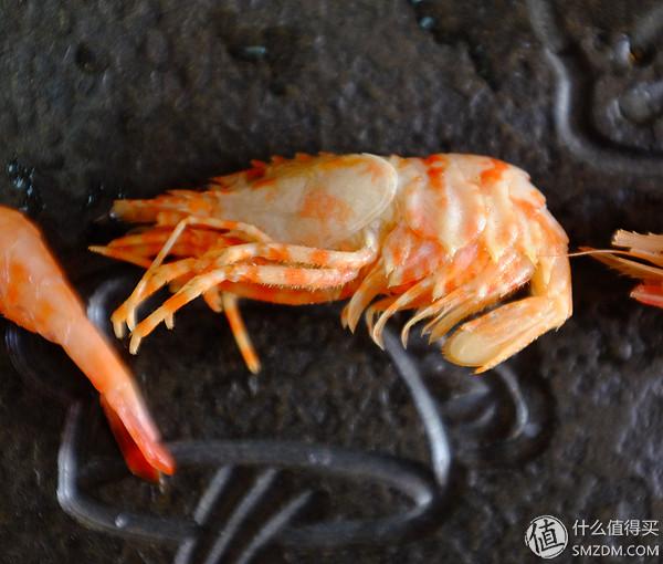 虾有多少品种，淡水虾有哪些品种（虾类双11购买攻略富山虾）
