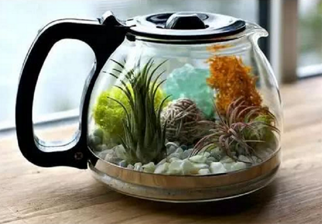 使用强力胶水的小妙招，去海边捡的石头别着急扔